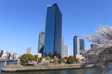 Fototapeta na wymiar 大阪ビジネスパーク