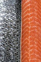 Fresh raw salmon fillet with silver fish skin as background