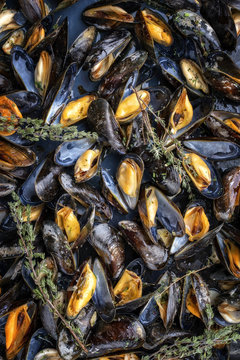 Traditional barbecue Italian blue mussel with rosemary in white wine as top view on a tray