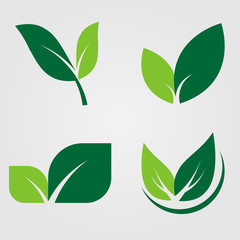 Set green leaves Icon,natural label on white background.Vector illustration