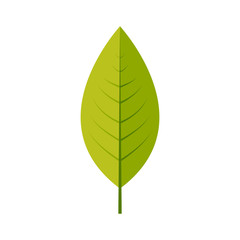 Lemon leaf icon vector design illustration. Free royalty images.
