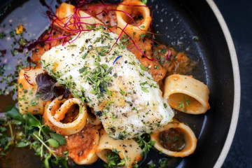 Braised codfish filet and lettuce and herbs with calamarata noodles as top view on a plate