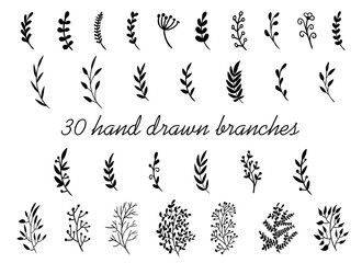 Fototapeta Hand drawn branches with leaves isolated on white background. Decorative floral elements for your design. Vintage vector obraz