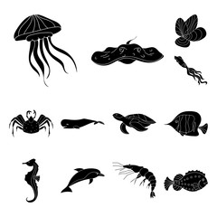 A variety of marine animals black icons in set collection for design. Fish and shellfish vector symbol stock web illustration.