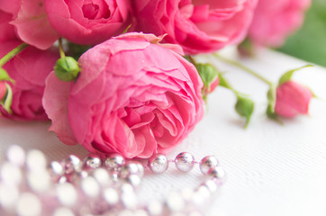 Pink roses background