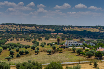 Naklejka premium Typical autumn landscape in the Alentejo region, Portugal.