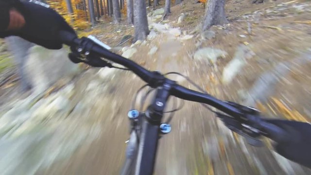 Speed riding an enduro mountain bike in orange autumn forest. Downhill ride in woods. View from first person perspective POV. Full HD gimbal stabilized video.