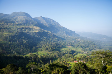 Fototapeta premium piękny widok na góry i błękitne niebo, sri lanka, nuwara eliya