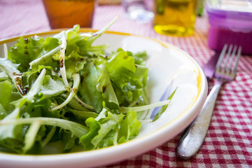 lettuce salad made with tender and young lettuce