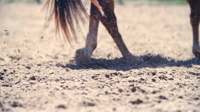 Horse hooves galloping in slow motion close up 4K