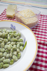broad beans and roman pecorino for 1st may day