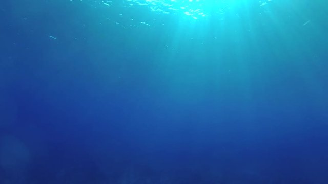 Sunlight rays shining through ocean surface, View from underwater
