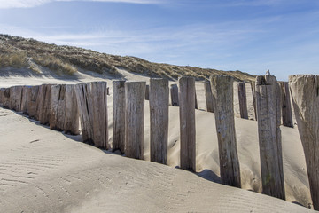 Groynes on Domburg beach to protect the grass dunes / Netherlands