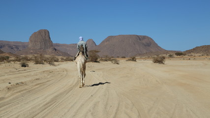 Algérie Parc de l Ahaggar Touareg sur son dromadaire