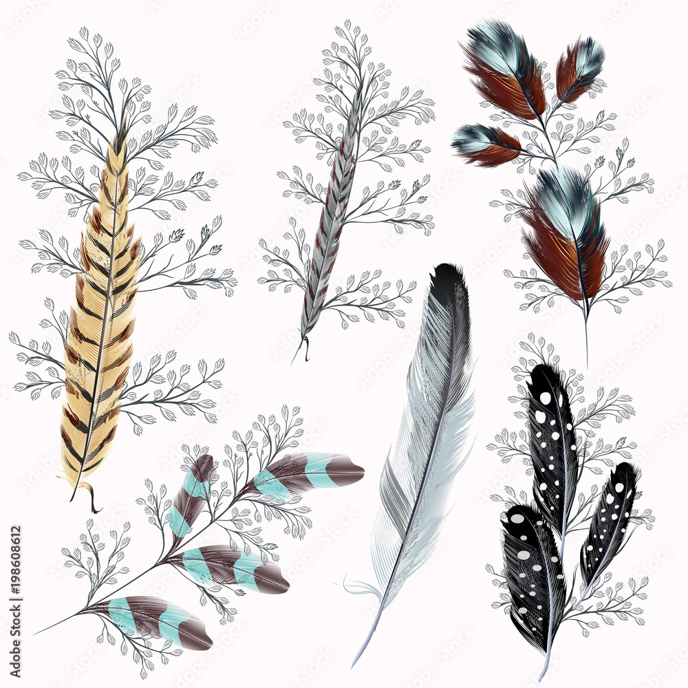 Poster collection of boho feathers for design