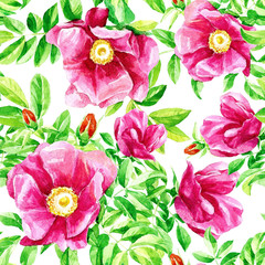 Watercolour repeating pattern of flowers of wild rose.