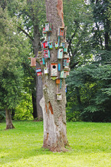  Colorful Birdhouses in Verkiai, Vilnius, Lithuania