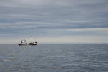 Whalewatching in der Skjálfandibucht bei Húsavík / Nord-Island