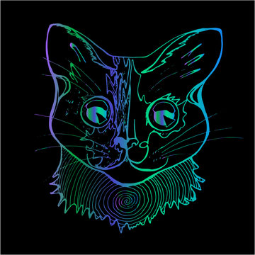 An illustration of a psychodelic cat. Colorful drawing of a cat.