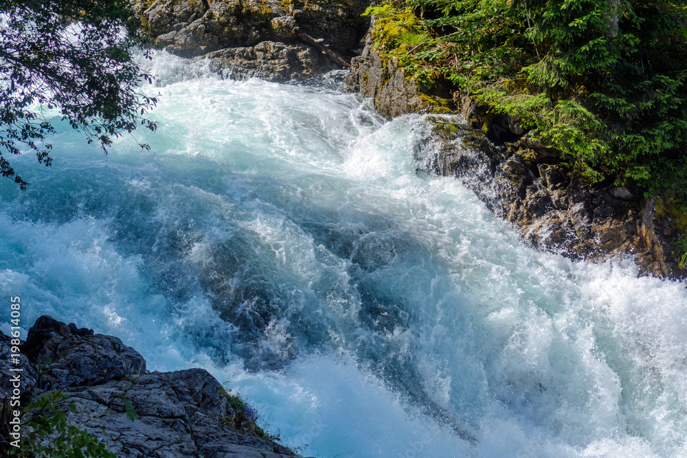 Wall mural wild mountain river stream