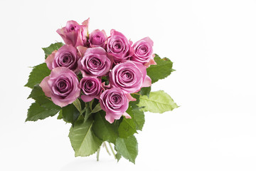 Rose flower valentine background