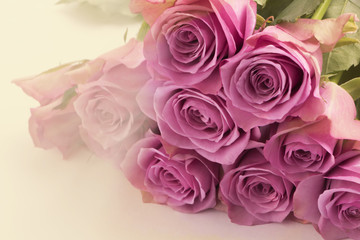 Rose flower valentine background
