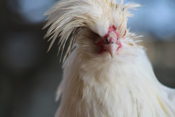 Kevin 