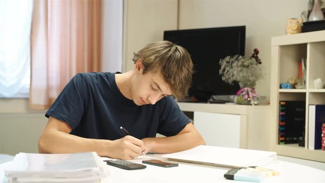 Schoolboy writing homework at home 4K