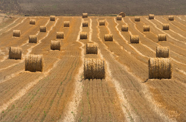 Landscape of a fresh plowed wheat field with rolled bales of hay, Dobrogea, Romania