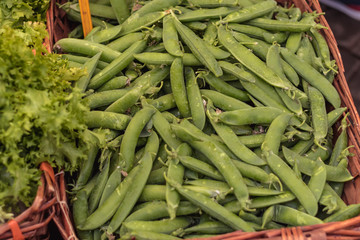 Fruit and vegetable market city