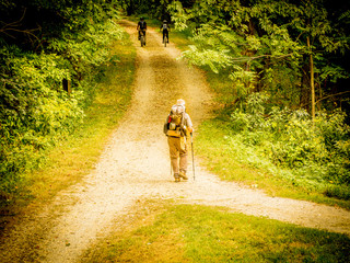 Senior Hiker on a Trail