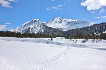 Fototapeta na wymiar Parc Naziunal Svizzer, east side, winter landscape. Switzerland