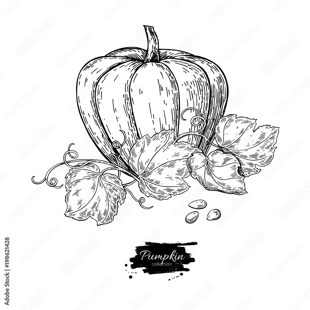 Wall mural pumpkin vector drawing set. isolated hand drawn object with slic - Wall murals