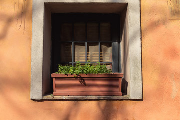 Fototapeta na wymiar window flower boxes European