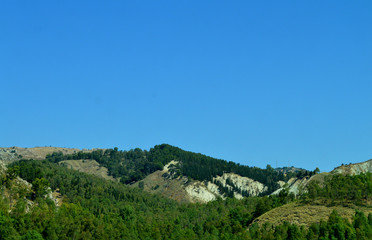 Fototapeta na wymiar View of a Sicilian Wood, Caltanissetta, Italy