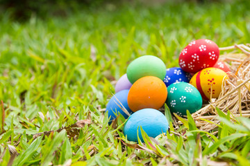 Painted Easter eggs put on the straw in the grass,easter day