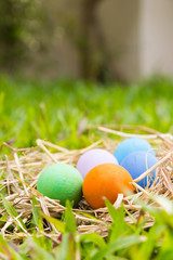 Painted Easter eggs put on the straw in the grass,easter day