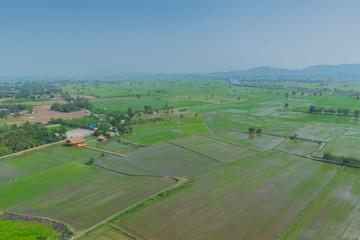 Beautiful rice field on top view in Kanchanaburi Thailand