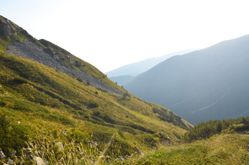 Alps Landscape