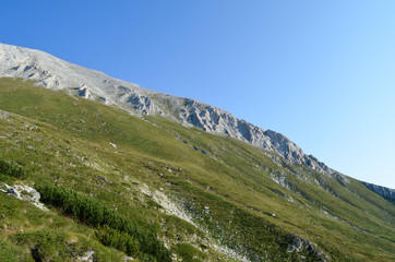 Fototapeta na wymiar Alps