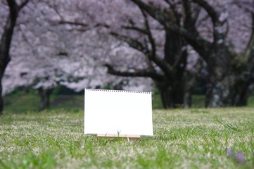 桜の花とスケッチブック　春