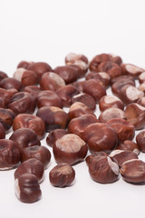 Le marron d'Inde, la graine non comestible du marronnier commun