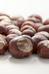 Le marron d'Inde, la graine non comestible du marronnier commun