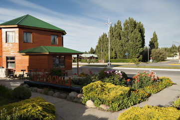 Flowers in the garden