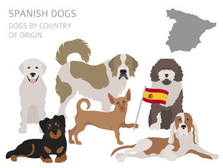 Dogs by country of origin. Spanish dog breeds. Infographic template