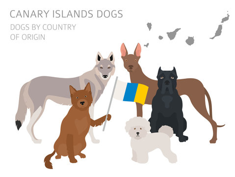 Dogs by country of origin. Spain. Canary islands dog breeds. Infographic template