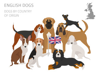 Dogs by country of origin. English dog breeds. Infographic template