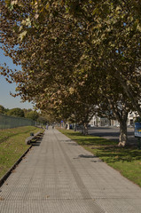 Green areas in the city