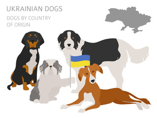 Naklejka premium Dogs by country of origin. Ukrainian dog breeds. Infographic template
