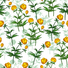 Seamless vector floral pattern. Floral background of yellow buttercups with plant shadows on  light background.